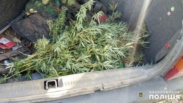 Пьяным и с коноплей в багажнике задержан водитель в Бахмуте