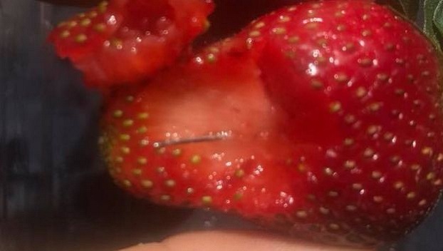 В Австралии снова обнаружили иголки в ягодах клубники