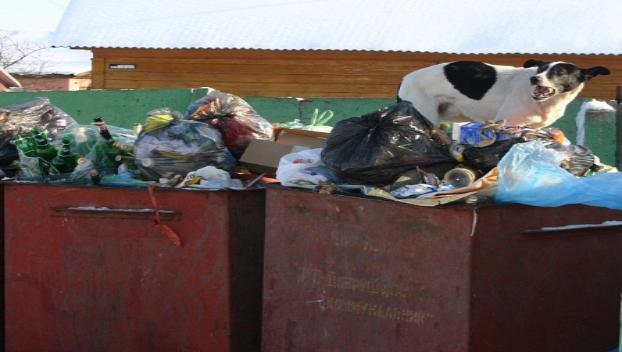 В Константиновке в мусор выбрасывают… иномарки