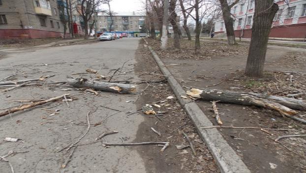 На улицах Константиновки падают ветви