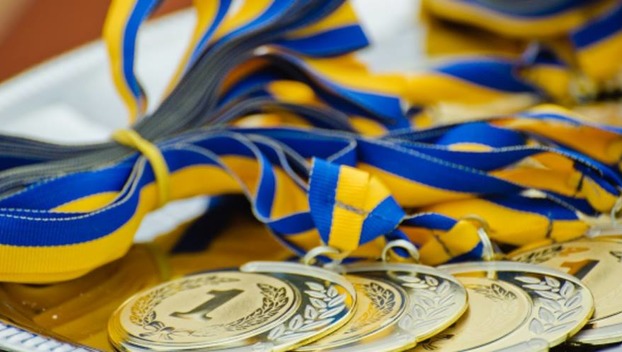 Более ста спортсменов Дружковки в этом году стали призерами мировых, европейских и украинских чемпионатов