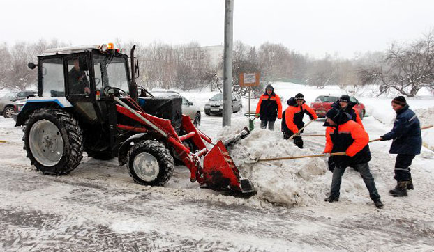 Снег на Днепропетровщине: из-за падения дерева погиб человек