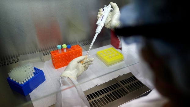 Китайские ученые сообщают о существовании двух типов коронавируса