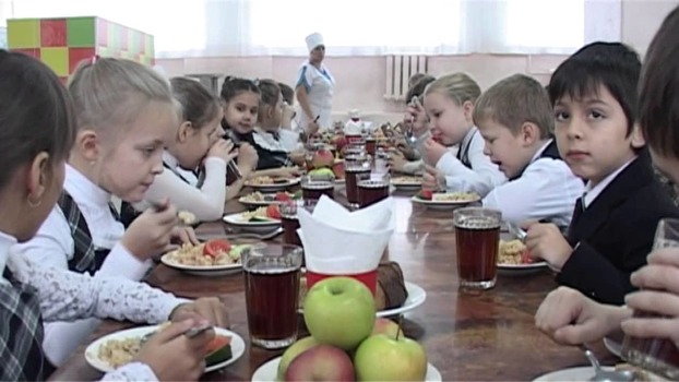 На какую сумму будут кормить в школах и детских садах Дружковки