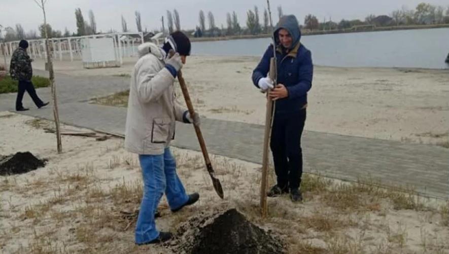 На Вейсовом озере в Славянске сотрудники парка озеленяют пляж