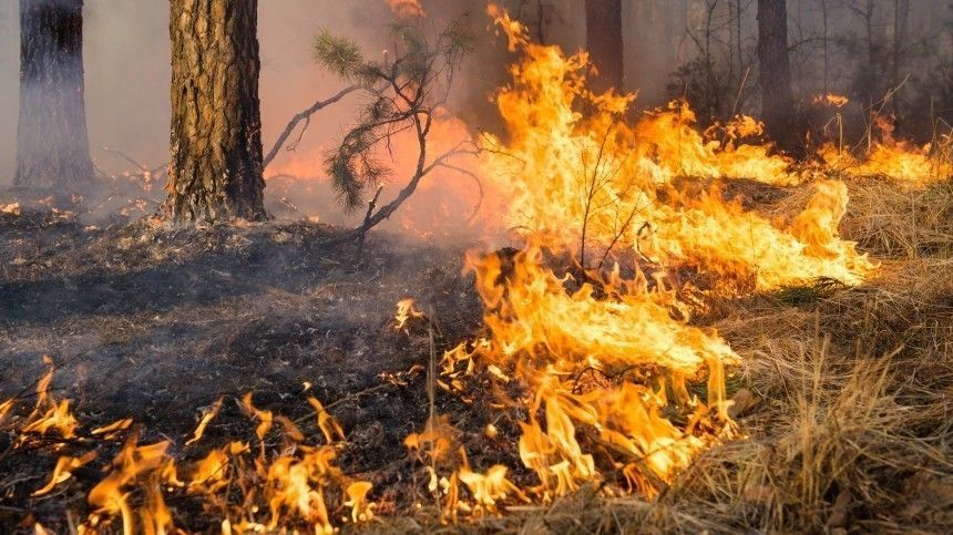 На Донбассе в минувшие выходные случился ряд пожаров