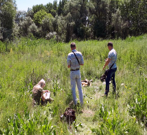 В Донецкой области нашли скелет предположительно мужского пола