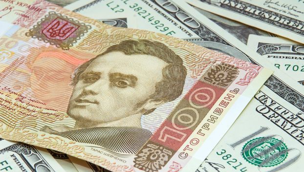 Курс доллара в Украине может вырасти до 30 грн 