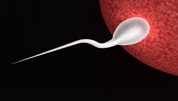 Ученые разработали новое средство контрацепции