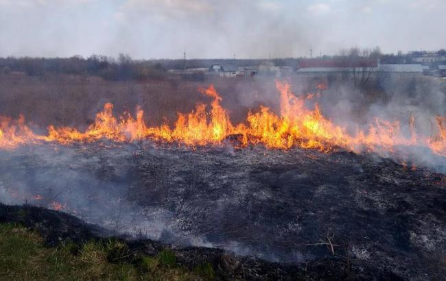 В Украине ожидается чрезвычайная пожарная опасность – ГСЧС