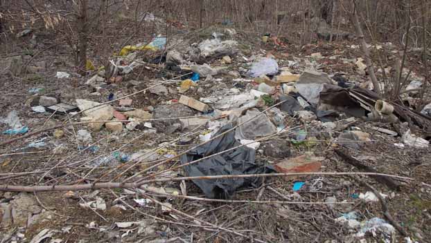 Экология: Чрезвычайное происшествие в парковой зоне Константиновки