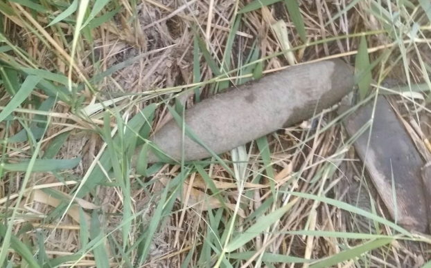 Жители села Пищевик под Мариуполем нашли в пруду снаряд