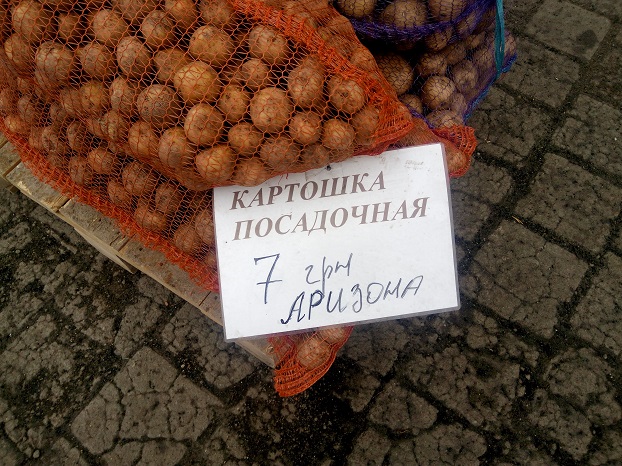 Когда покупать картофель на посадку в Донецкой области