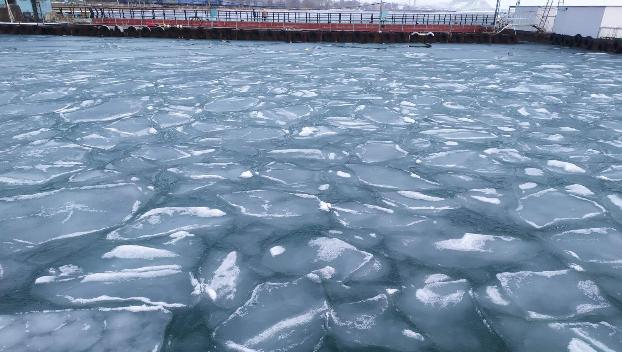На Азовском море появились «ледяные блины»