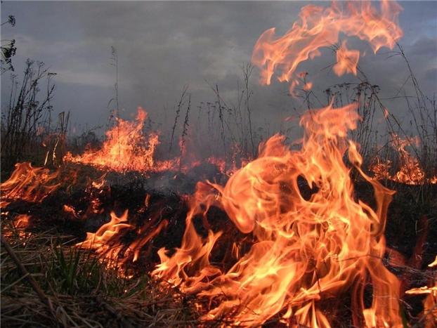 В чем причина пожаров в Дружковке?