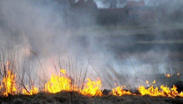 Спасатели предупредили украинцев о пожароопасности и сильном ветре
