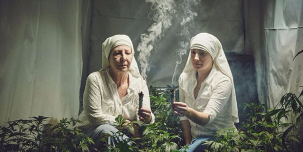 Как в Калифорнии монахини выращивают на продажу марихуану