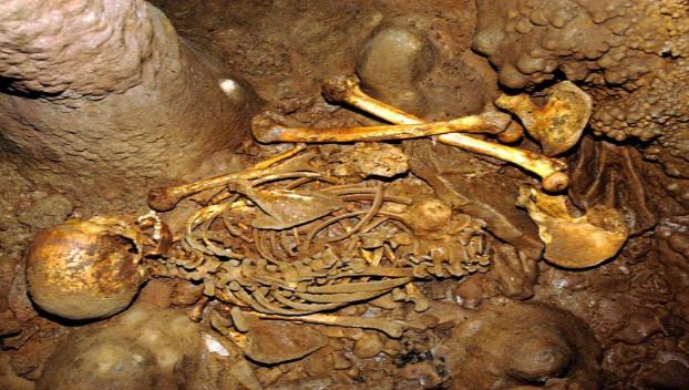 Мужчина нашел останки человеческого тела у себя во дворе