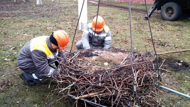 Защита белого аиста: ДТЭК Донецкоблэнерго продолжил установку спецгнезд для птиц на электроопорах