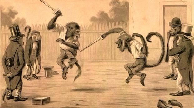 В Мариуполе на выставке обезьян произошла перестрелка