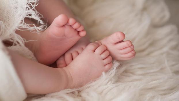 Тела новорожденных двойнят нашли в морозильной камере
