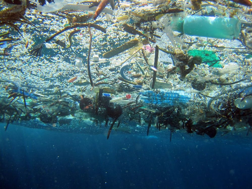 Размер мусорного острова в Мировом океане шокировал даже ученых