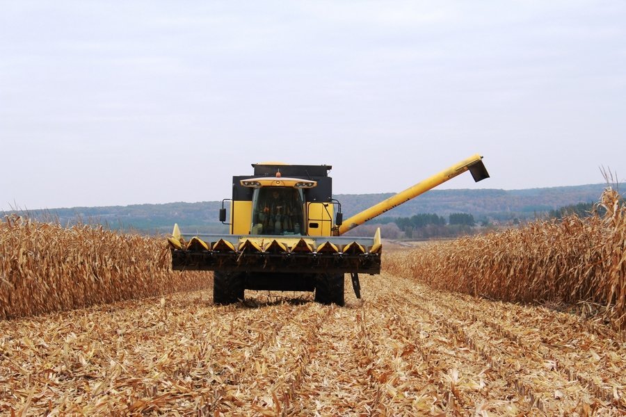 Не лучший период сейчас переживают бюджетообразующие агрохолдинги Украины