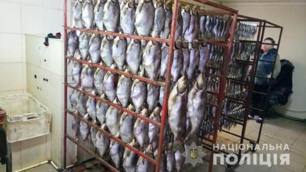 Операция «Нерест»: полиция изъяла 6 тонн рыбы у нарушителей