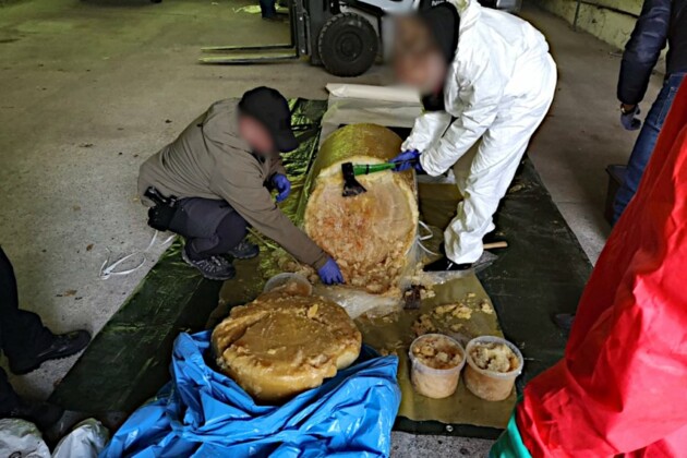 Новый рекорд: 3 тонны кокаина перехватили в Польше