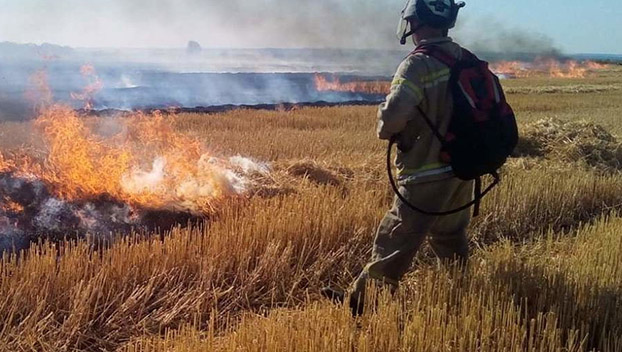 16 пожаров в природных экосистемах Донбасса случилось на этих выходных