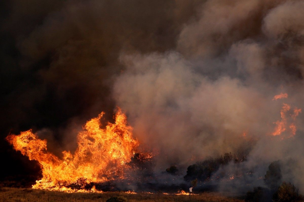 Масштабные лесные пожары в Европе
