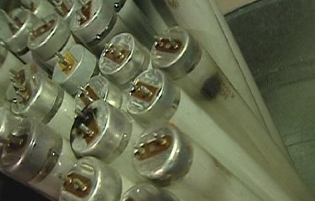 Более пятисот ртутных ламп хранят в Славянской школе искусств 