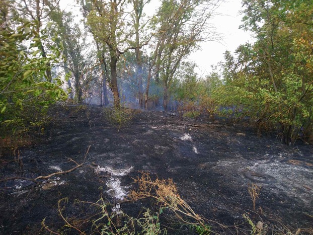 За минувшие сутки в Донецкой области ликвидировано 89 пожаров