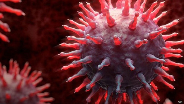 Кишечные бактерии помогут победить грипп 