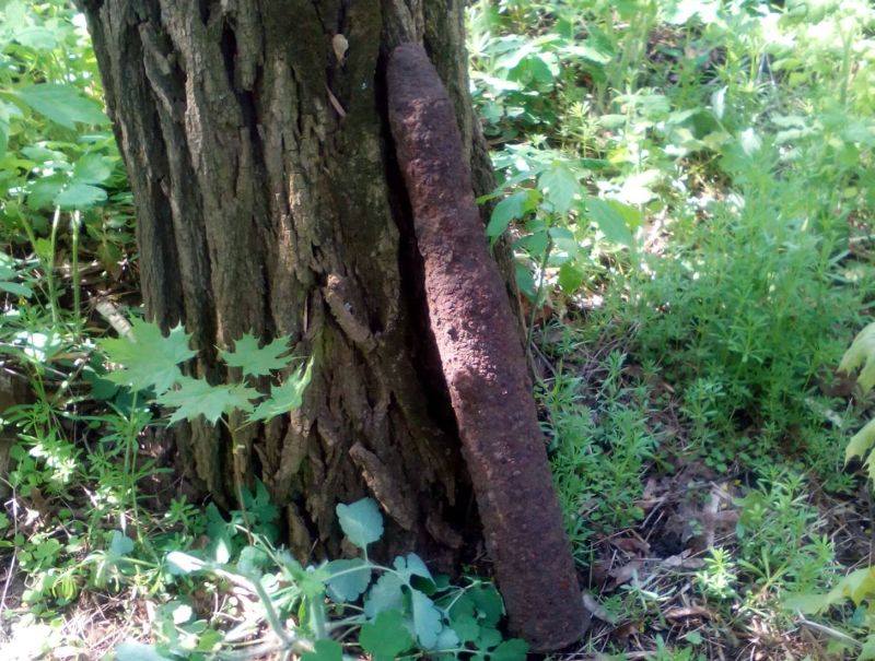 Снаряд времен Второй мировой войны обнаружен в дружковском парке