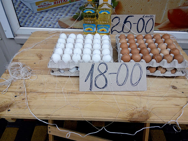 цена на яйца