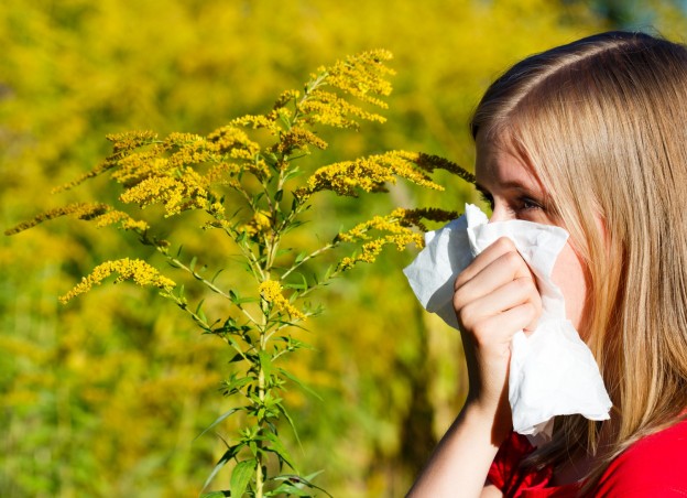 пыльца, аллергия
