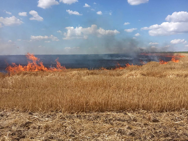 На Донетчине возле уникального заповедника горело пшеничное поле