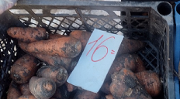 Константиновка: Морковь 16 грн./кг.