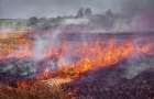 В Донецкой области за сутки сгорело 200 га стерни