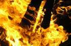 В Мирнограде пожарные ликвидировали возгорание в автомобиле 