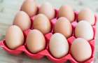 Украина существенно нарастила экспорт яиц