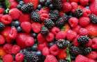 Названа страна, которая стала крупнейшим импортером украинских ягод