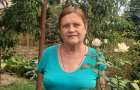 Любительница цветов Вера Петровна рассказала, как вырастить шикарные розы в Константиновке