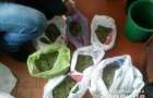 В Славянском районе оперативники изъяли около 2,5 кг марихуаны
