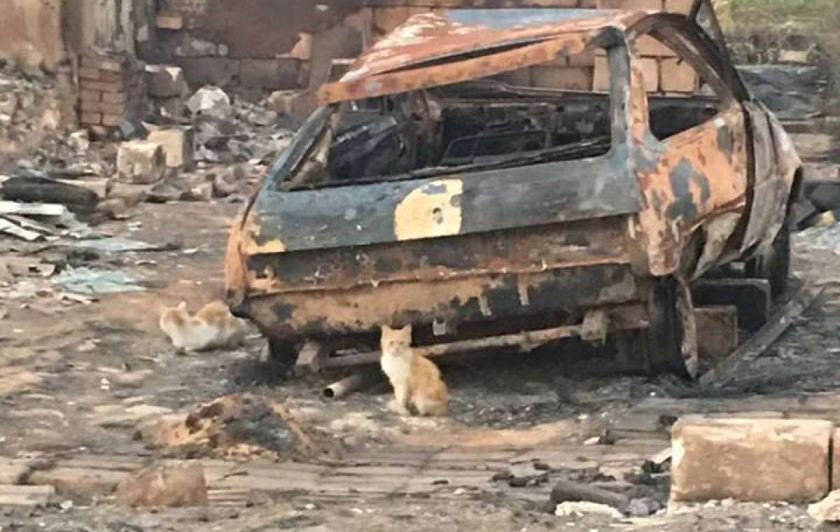 Огонь уничтожил село на Донбассе