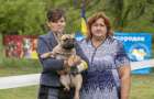 В Краматорске прошла Всеукраинская выставка собак