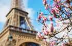Мариуполь отпразднует День Франции, горожане смогут выиграть путевку в Париж