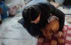 В Бахмуте мужчина стрелял в собаку: Волонтеры пытаются ее спасти