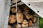 Газель, заполненную дровами, нашли полицейские между Краматорском и Славянском